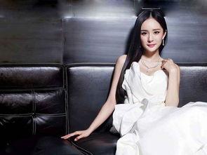 吃瓜八卦娛樂圈楊冪,瓜田李下，揭秘明星背后的故事